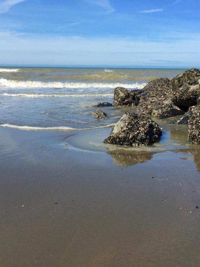 Beachstudio Westende With Sea View Middelkerke Ngoại thất bức ảnh